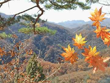 速騰小修細(xì)節(jié)揭秘，品質(zhì)鑄就輝煌，成敗在于細(xì)節(jié)把控！