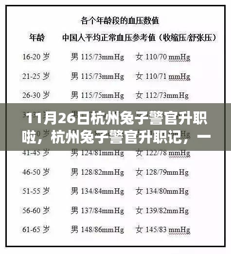 杭州兔子警官升職記，一次特別的里程碑事件慶祝升職慶典