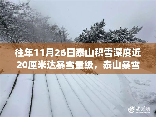 泰山暴雪現(xiàn)象揭秘，積雪深度爭(zhēng)議與啟示，近20厘米雪量的影響與反思