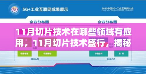 揭秘，11月切片技術(shù)在多領(lǐng)域的應(yīng)用與價(jià)值盛行之處