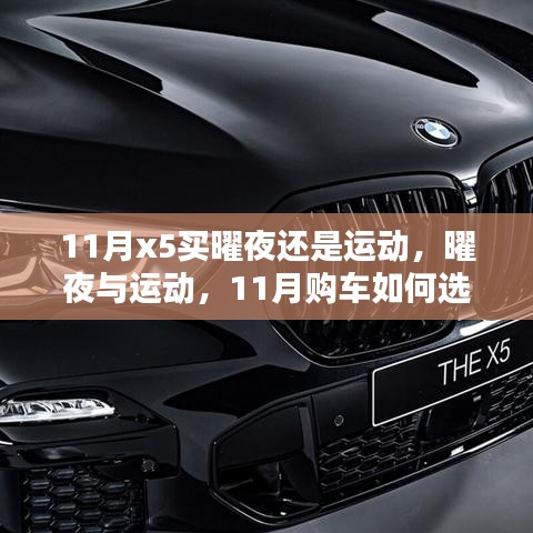 11月購車指南，曜夜還是運動？如何選擇X5車型？
