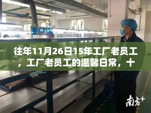工廠老員工溫馨日常，十一月二十六日的特殊記憶與感悟