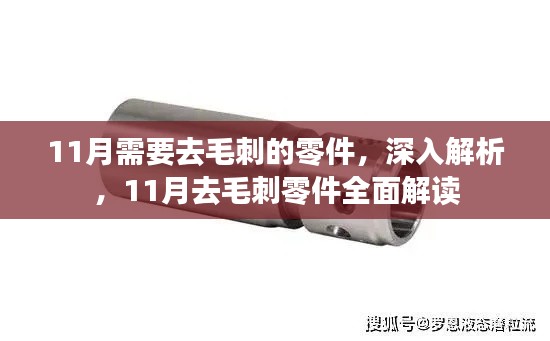 11月去毛刺零件深度解析與全面解讀