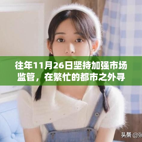 繁忙都市中的市場監(jiān)管與心靈邂逅自然美景之旅，11月26日的寧靜探索