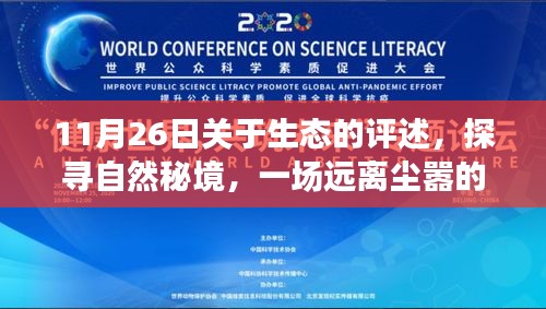11月26日生態(tài)奇遇，探尋自然秘境的心靈之旅