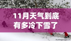 初雪降臨時(shí)的溫暖日常，冬日友情的奇遇與寒冷天氣的探索