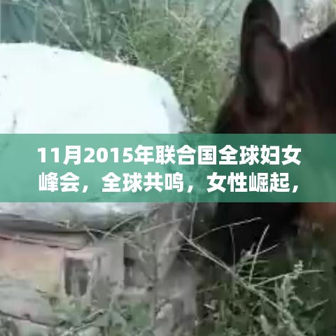 全球共鳴，女性崛起與聯(lián)合國全球婦女峰會的深刻影響（2015年）