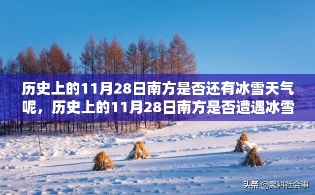 歷史上的11月28日南方冰雪天氣深度探究與觀點闡述