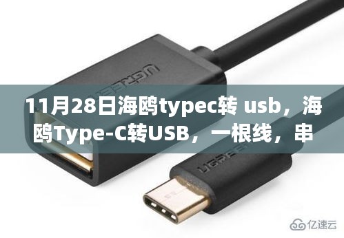海鷗Type-C轉(zhuǎn)USB線，串聯(lián)友情記憶的紐帶