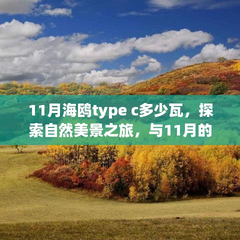 探索自然美景之旅，揭秘11月海鷗Type-C功率與共舞的自然體驗(yàn)