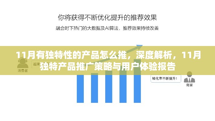 深度解析，11月獨(dú)特產(chǎn)品推廣策略與用戶體驗(yàn)報告——打造獨(dú)特產(chǎn)品，提升用戶吸引力與體驗(yàn)度