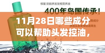 11月28日頭發(fā)控油秘籍，控油成分解析與實(shí)操指南，適合初學(xué)者與進(jìn)階用戶！
