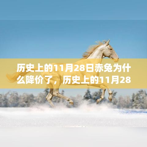 歷史上的11月28日赤兔馬匹價格驟降背后的原因，產(chǎn)品特性、體驗、競品對比與用戶分析