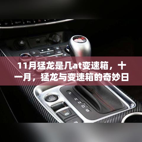 十一月猛龍與變速箱的日常探索，揭秘其AT變速箱的秘密
