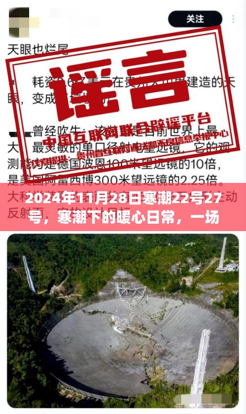 寒潮下的暖心日常，一場不期而遇的冬日趣事，記錄于2024年11月28日