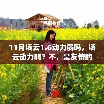 凌云動力暖風(fēng)，友情之暖與性能解析