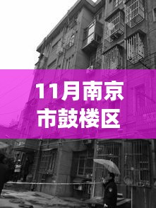 11月南京市鼓樓區(qū)漢中門大街118號，南京鼓樓區(qū)的溫馨日常，鼓樓鄰里間的趣事與情感紐帶