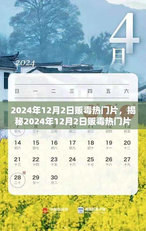 揭秘毒品背后的警示與思考，2024年販毒熱門片深度剖析
