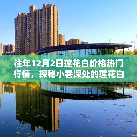 探秘蓮花白寶藏，往年12月2日行情下的蓮花白價(jià)格揭秘與熱門(mén)行情分析