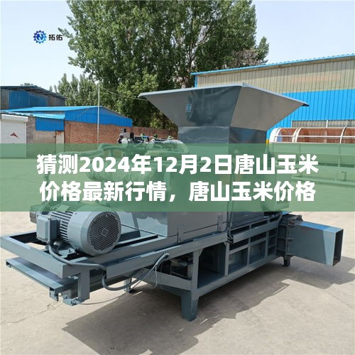 唐山玉米價(jià)格最新行情預(yù)測(cè)及分析（預(yù)測(cè)至2024年12月）