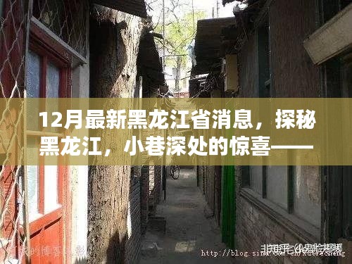 探秘黑龍江，十二月最新消息揭秘小巷深處的美味小店