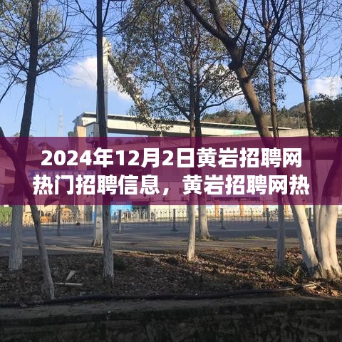 2024年12月2日黃巖招聘網(wǎng)熱門招聘信息盛況與行業(yè)聚焦