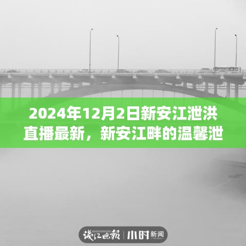 新安江畔的溫馨泄洪日，直播之旅展現(xiàn)愛與陪伴