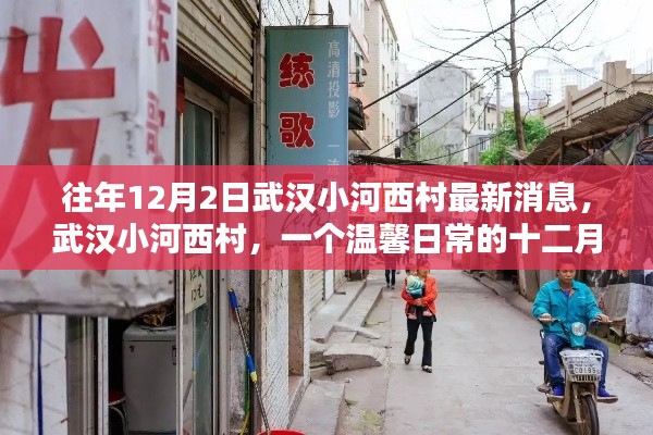 武漢小河西村十二月最新動態(tài)，溫馨日常的序曲