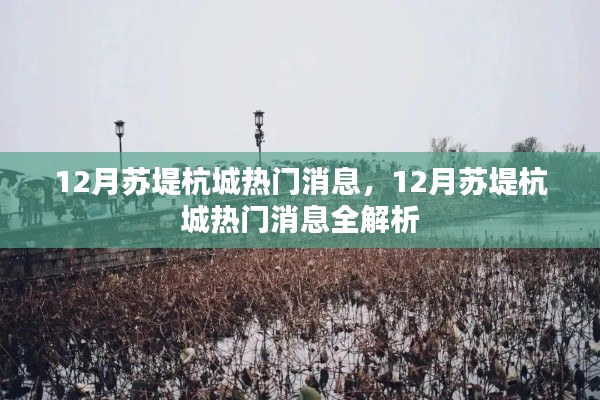 12月蘇堤杭城熱門消息全景解析