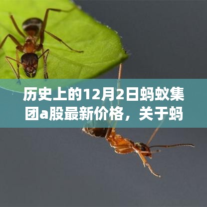 運輸網(wǎng)絡 第233頁