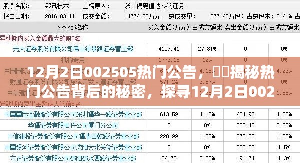 揭秘，12月2日熱門公告背后的故事——探尋002505背后的秘密