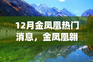12月金鳳凰翱翔全景解析，熱門消息一覽
