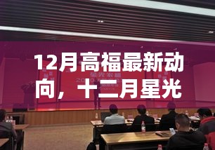 高福十二月最新動向，新征程引領(lǐng)向自信成就的未來