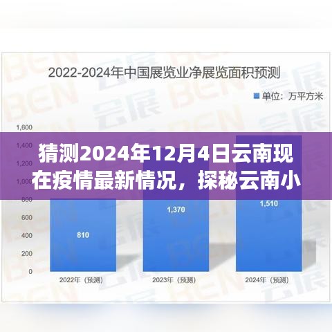 探秘云南小巷特色小店，疫情下的獨(dú)特風(fēng)景與未知驚喜，預(yù)測(cè)云南最新疫情動(dòng)態(tài)（2024年12月4日）