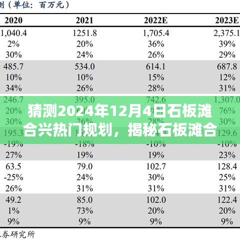 揭秘石板灘合興未來(lái)規(guī)劃，小巷深處的獨(dú)特風(fēng)味秘境與熱門(mén)規(guī)劃展望（2024年12月4日）