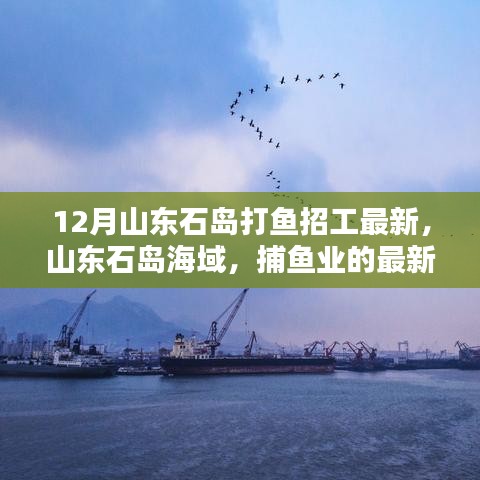 山東石島海域捕魚業(yè)最新招工潮涌動(dòng)紀(jì)實(shí)，12月石島打魚招工信息速遞