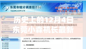 歷史上的12月4日東莞小森機(jī)長(zhǎng)最新招聘，全面解讀與用戶體驗(yàn)體驗(yàn)分享