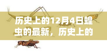 探尋蝗蟲災(zāi)害，歷史上的12月4日最新篇章