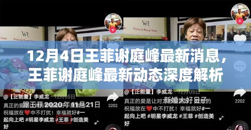 王菲謝庭峰最新動態(tài)揭秘，特性、體驗、競品對比及用戶群體深度分析