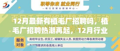 植毛廠招聘熱潮再現(xiàn)，行業(yè)洞察與前景展望（12月最新招聘信息）