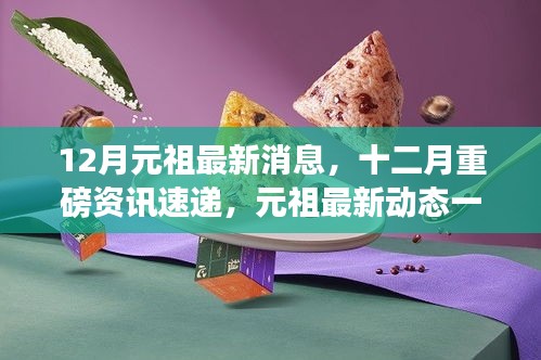 12月元祖最新動態(tài)與資訊速遞