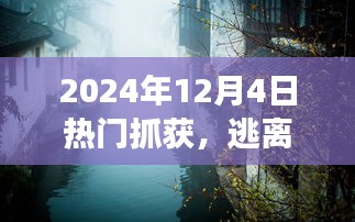 鴻飛雪爪 第3頁