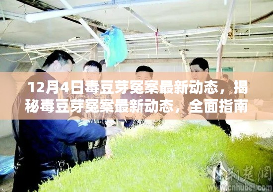 毒豆芽冤案最新進(jìn)展揭秘，全面指南助你應(yīng)對(duì)