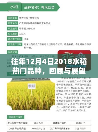 2018年12月4日熱門水稻品種回顧與展望，熱門品種概覽