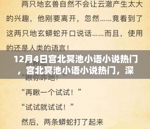宮北冥池小語(yǔ)小說(shuō)熱門，深度測(cè)評(píng)與介紹，不容錯(cuò)過(guò)！