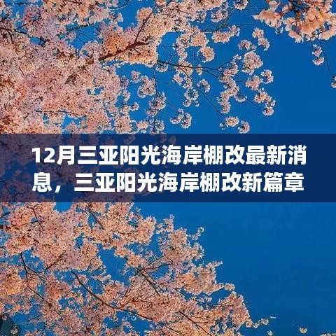 三亞陽(yáng)光海岸棚改最新動(dòng)態(tài)，變革中的學(xué)習(xí)，自信與成就感的源泉