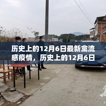 歷史上的12月6日禽流感疫情深度解析與最新動態(tài)關(guān)注