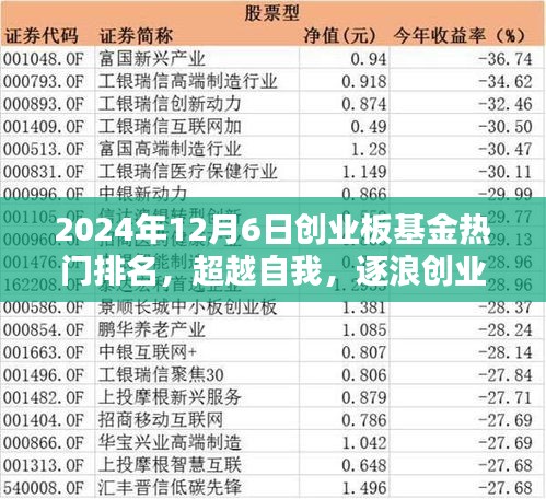 超越自我，逐浪前行，2024年創(chuàng)業(yè)板基金熱門排名揭曉