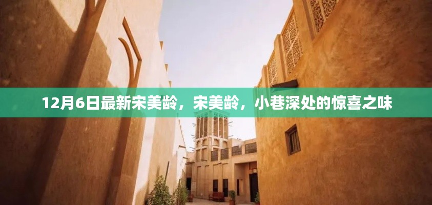 宋美齡，小巷深處的驚喜故事，揭秘傳奇人生