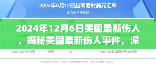 揭秘美國(guó)最新傷人事件，深度解讀與探討（發(fā)生在2024年12月6日）